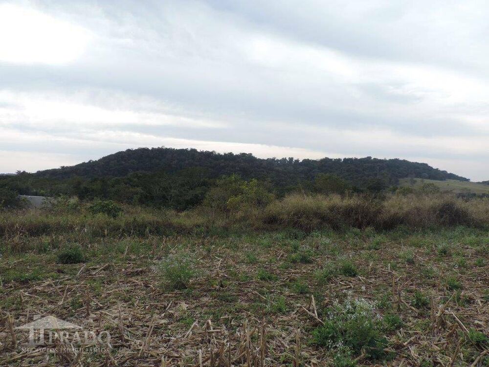 Terreno, 2 hectares - Foto 6