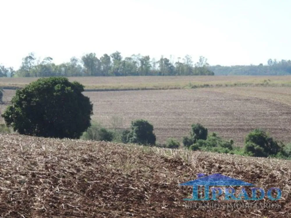 Sítio, 1 quarto, 17 hectares - Foto 2