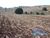 Sítio, 1 quarto, 17 hectares - Foto 3