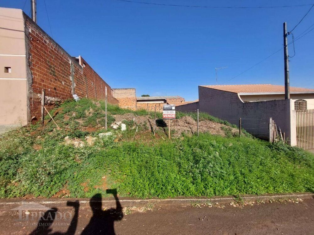 Terreno, 250 m² - Foto 3
