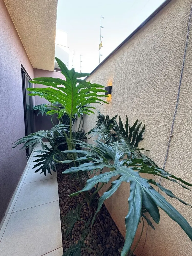 Casa, 3 quartos, 98 m² - Foto 10