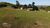 Sítio, 1 quarto, 2 hectares - Foto 1