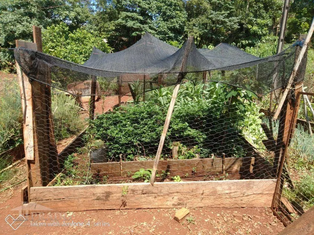 Chácara, 1 quarto, 4028 m² - Foto 6