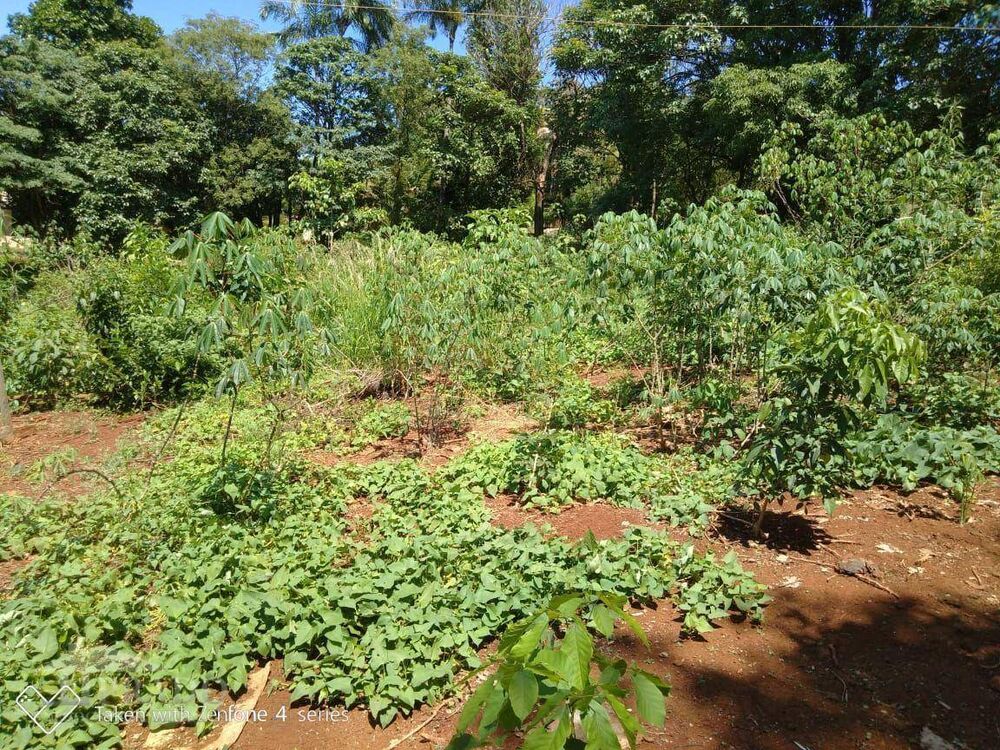 Chácara à venda com 1 quarto, 50m² - Foto 4