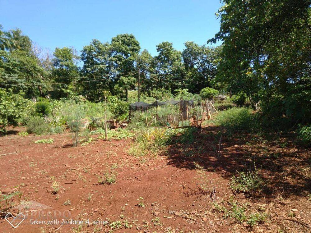 Chácara à venda com 1 quarto, 50m² - Foto 6
