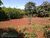Chácara, 1 quarto, 4028 m² - Foto 5