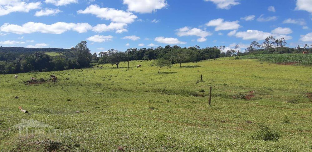 Chácara, 1 quarto, 2 hectares - Foto 4