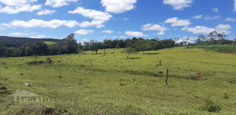 Chácara, 1 quarto, 2 hectares - Foto 6