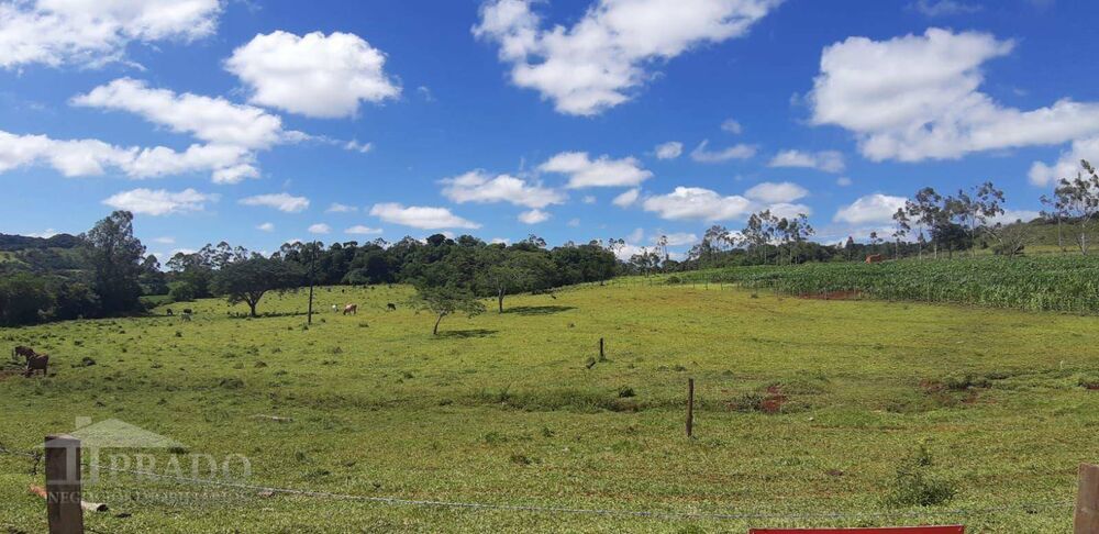 Chácara, 1 quarto, 2 hectares - Foto 3