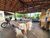 Chácara, 4 quartos, 3000 m² - Foto 16