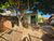 Casa, 3 quartos, 150 m² - Foto 4