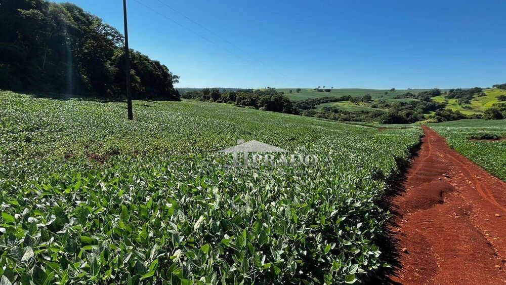 Sítio, 19 hectares - Foto 4