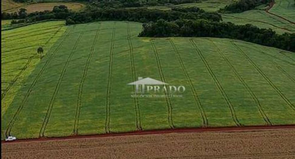 Sítio, 19 hectares - Foto 2