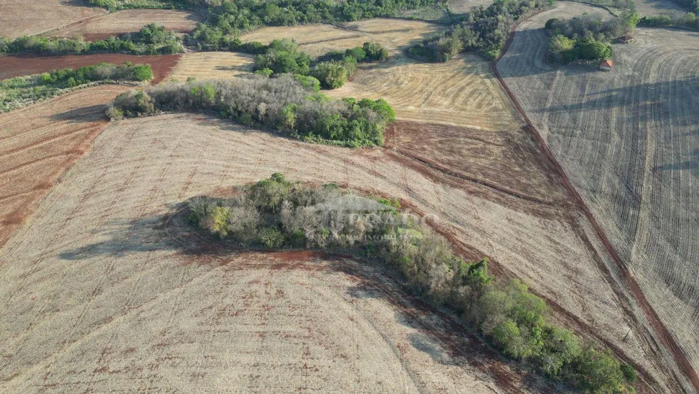 Sítio, 19 hectares - Foto 10
