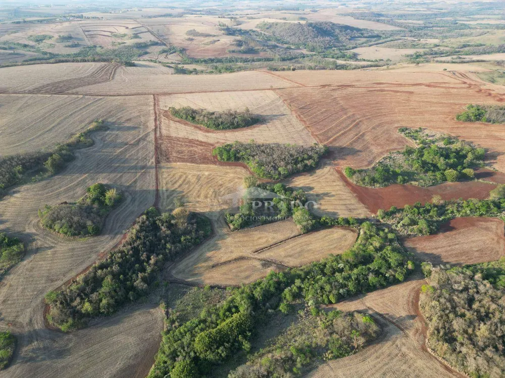 Sítio, 19 hectares - Foto 6