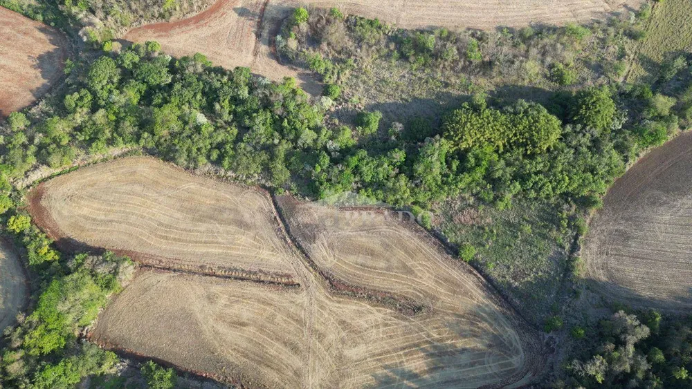 Sítio, 19 hectares - Foto 8