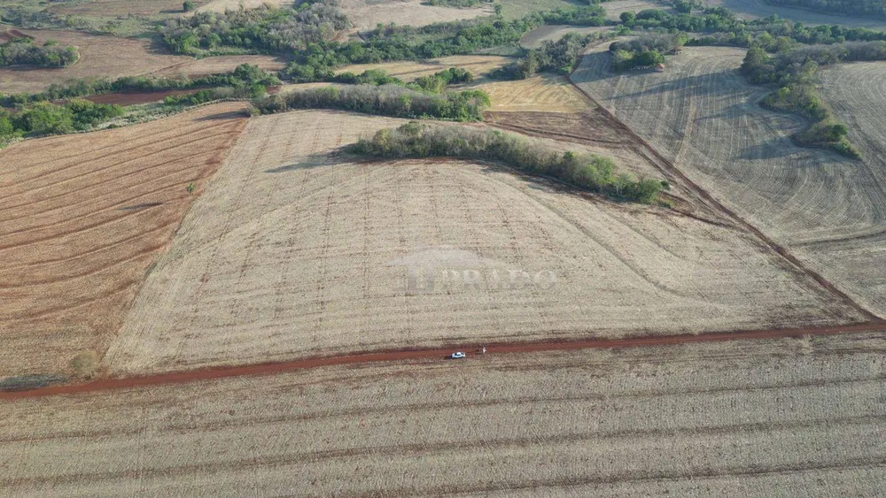 Sítio, 19 hectares - Foto 11