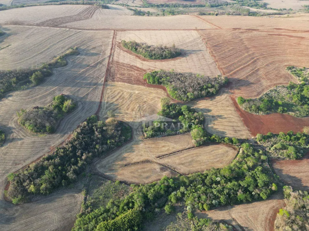 Sítio, 19 hectares - Foto 7