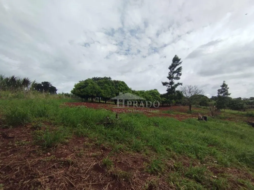 Chácara, 3 quartos, 1 hectares - Foto 3