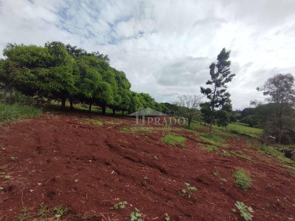 Chácara, 3 quartos, 1 hectares - Foto 2