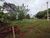 Chácara, 3 quartos, 1 hectares - Foto 3