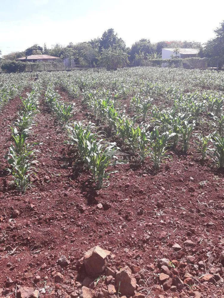 Chácara, 2044 m² - Foto 3
