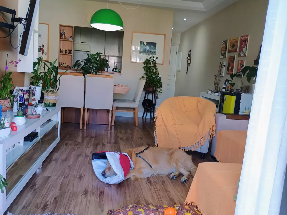 Apartamento à venda com 3 quartos, 96m² - Foto 8