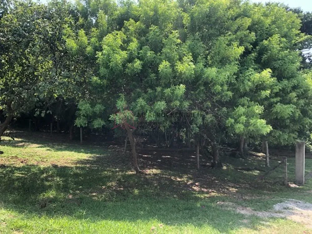 Terreno, 432 m² - Foto 3