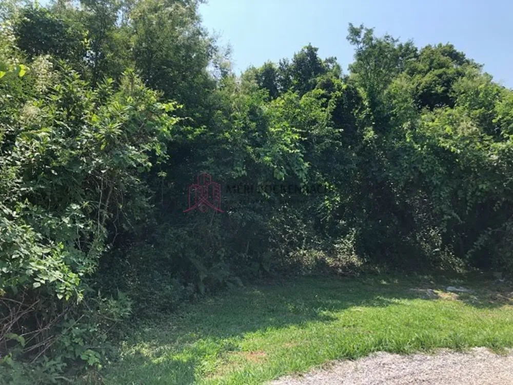 Terreno, 3600 m² - Foto 3
