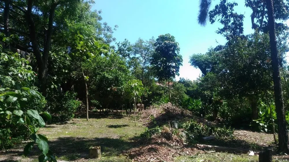 Terreno, 531 m² - Foto 3