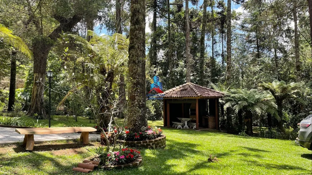 Casa, 4 quartos, 290 m² - Foto 6