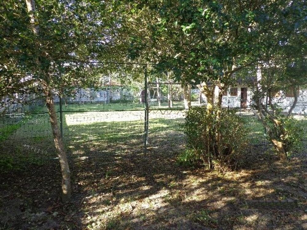 Terreno, 1251 m² - Foto 6