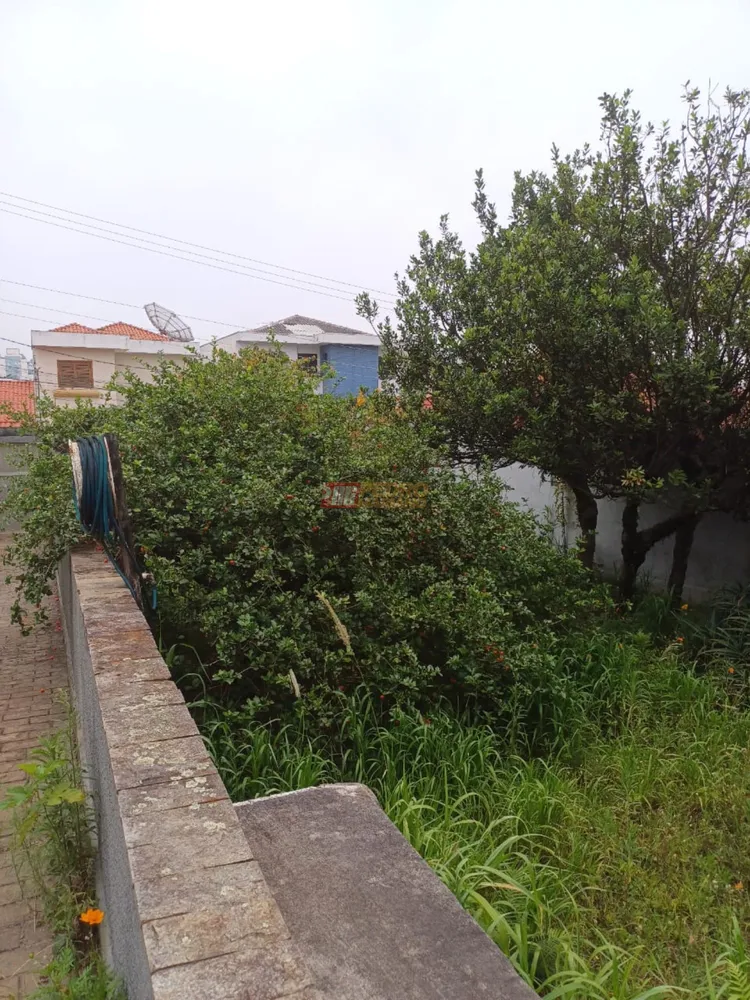 Casa, 2 quartos, 1000 m² - Foto 23