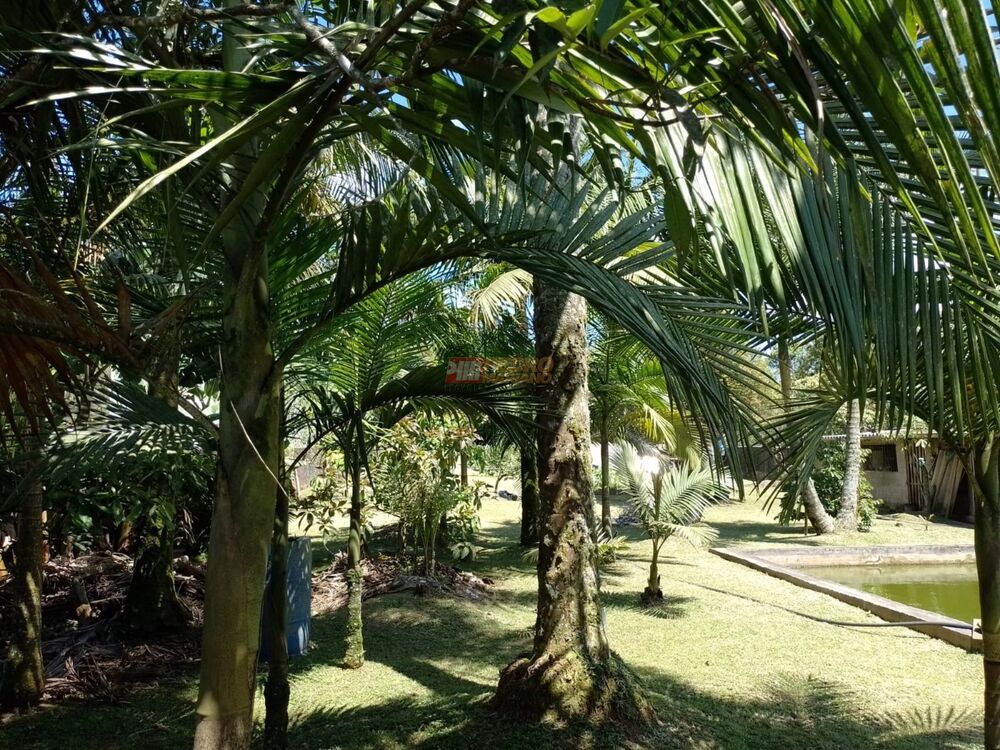 Chácara, 2 quartos, 1500 m² - Foto 7