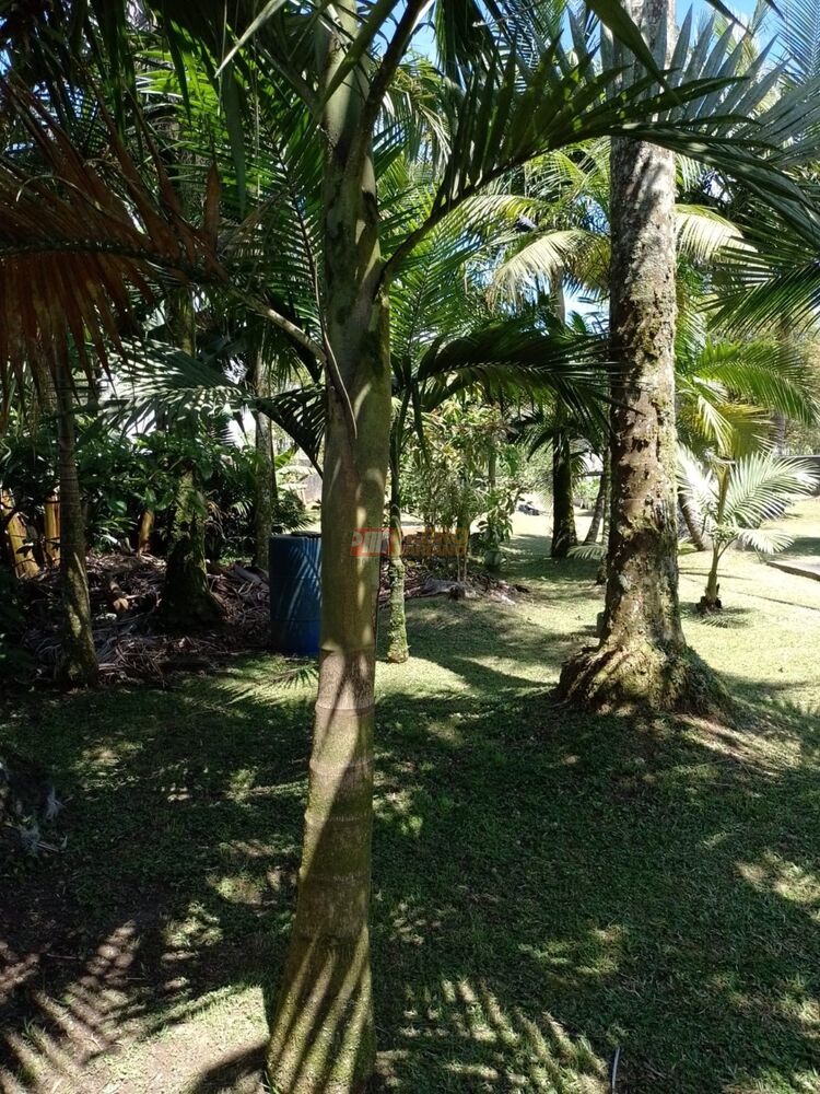 Chácara, 2 quartos, 1500 m² - Foto 5