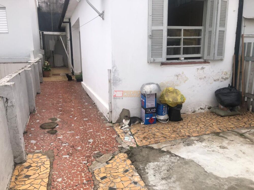 Casa, 2 quartos, 248 m² - Foto 6