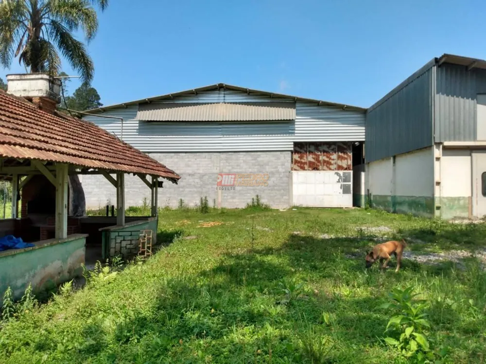 Depósito-Galpão, 3500 m² - Foto 2