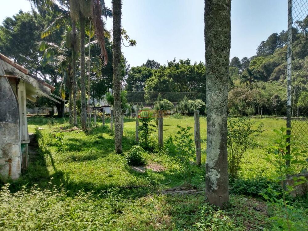 Depósito-Galpão, 3500 m² - Foto 8