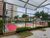 Apartamento, 2 quartos, 46 m² - Foto 8