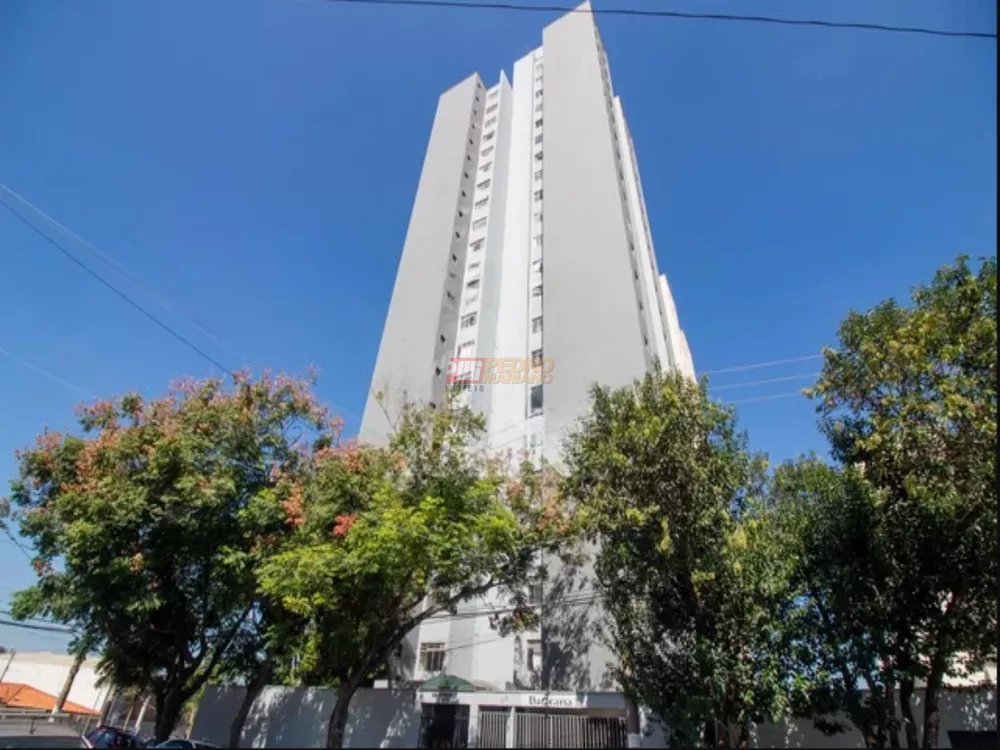 Apartamento, 2 quartos, 60 m² - Foto 23