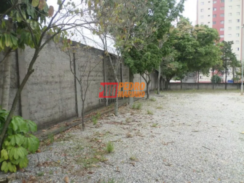 Terreno, 1145 m² - Foto 3