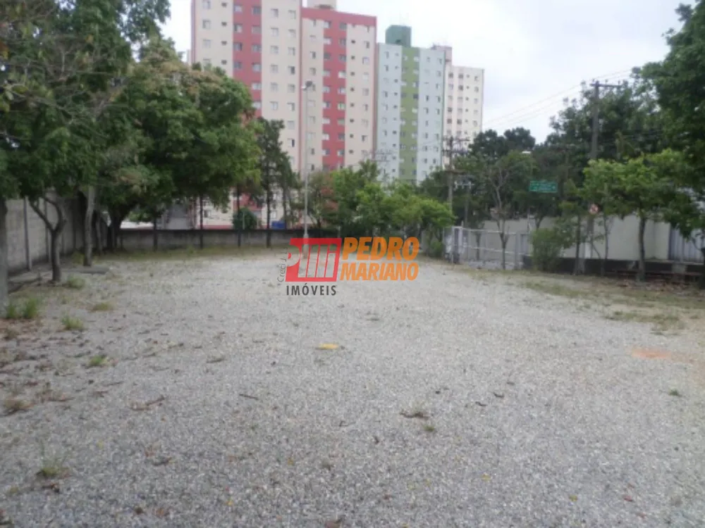 Terreno, 1145 m² - Foto 4