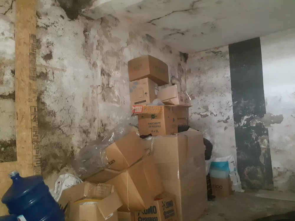 Casa, 4 quartos, 193 m² - Foto 12