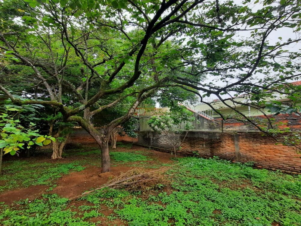 Sobrado, 4 quartos, 253 m² - Foto 13