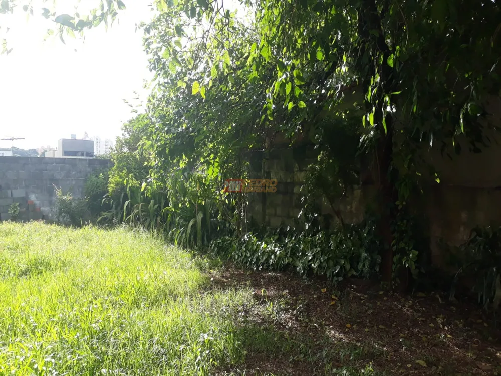 Casa, 4 quartos, 302 m² - Foto 11