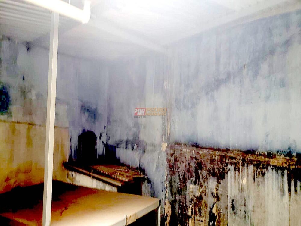 Depósito-Galpão, 431 m² - Foto 3