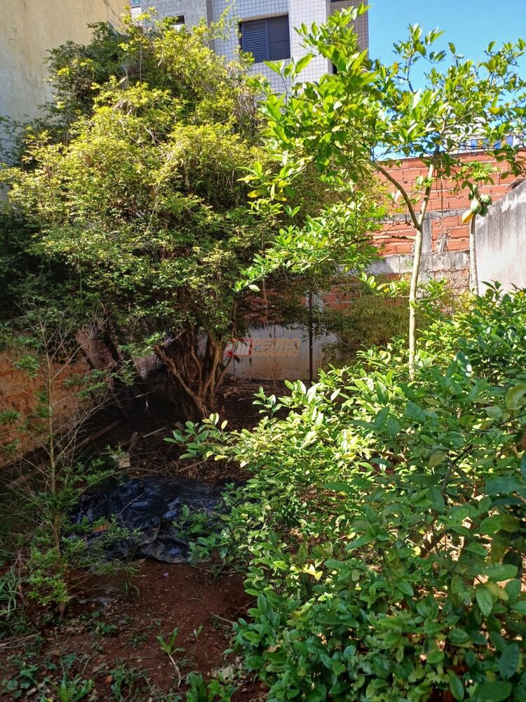 Terreno, 240 m² - Foto 5