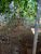 Terreno, 240 m² - Foto 4
