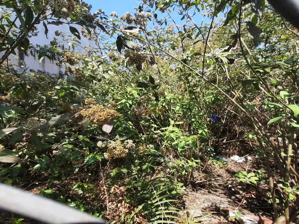 Terreno, 320 m² - Foto 7