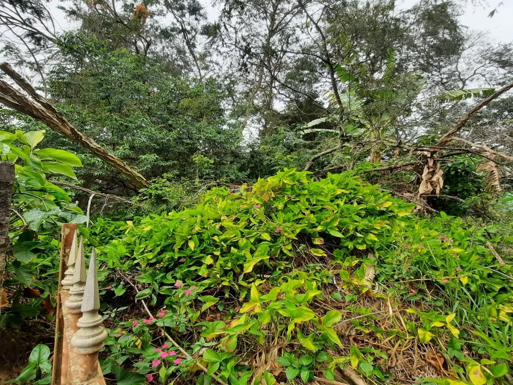 Terreno, 400 m² - Foto 6